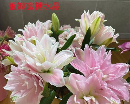 黄百合花代表什么？黄百合花的寓意有哪些常见问题解答？