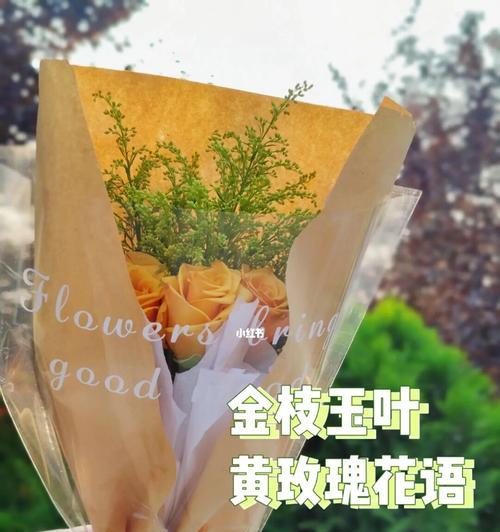 黄玫瑰代表什么？黄玫瑰的花语有哪些含义？