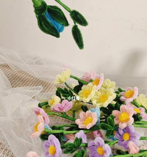 雏菊喜阴还是喜阳？如何正确养护雏菊？