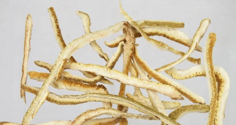 川贝的性质是什么？凉性还是热性？
