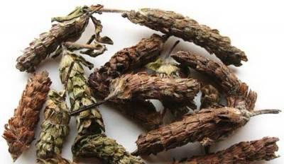 川芎的性质是什么？如何根据体质选择使用川芎？