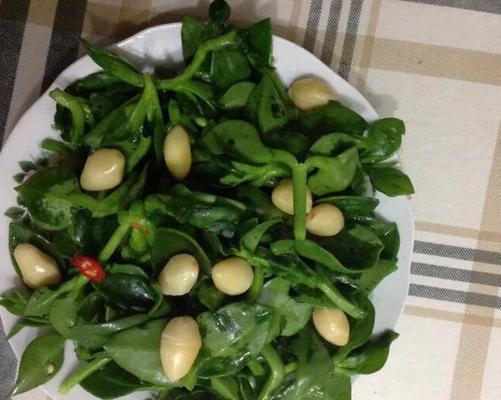 穿心莲可以生吃吗？食用方法和注意事项是什么？