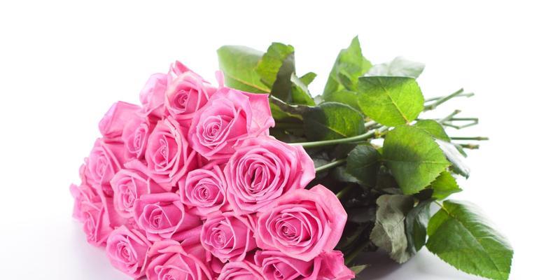 几朵玫瑰花代表什么意思？花语背后的含义是什么？