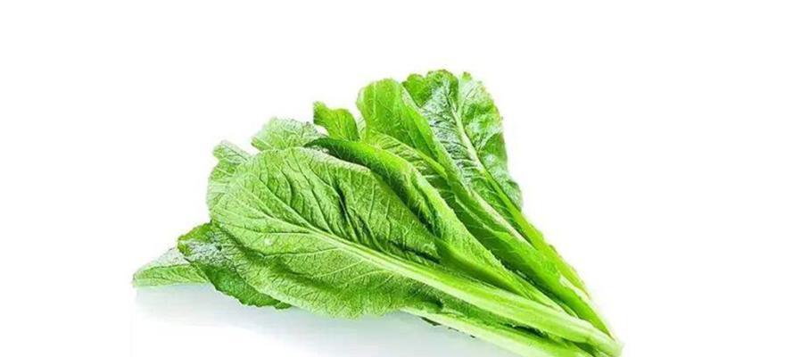 春不老是什么菜？春不老的制作方法和食用价值是什么？