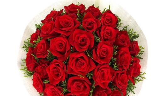 九朵玫瑰花代表什么意思？花语背后的含义是什么？