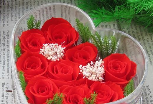 九朵玫瑰花代表什么意思？花语背后的含义是什么？