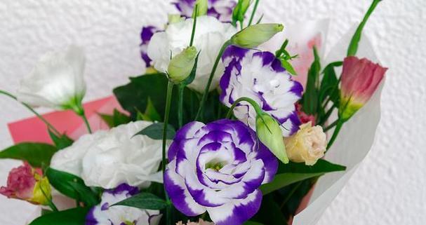 桔梗花的花语是什么？了解其独特含义和象征意义？
