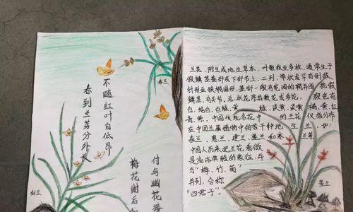 春兰浇水技巧是什么？日常养护需要注意哪些问题？
