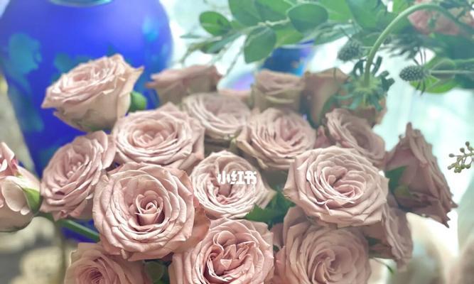 卡布奇诺玫瑰花语代表什么含义？