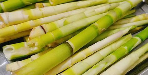 春笋需要去皮吗？食用前的正确处理方法是什么？