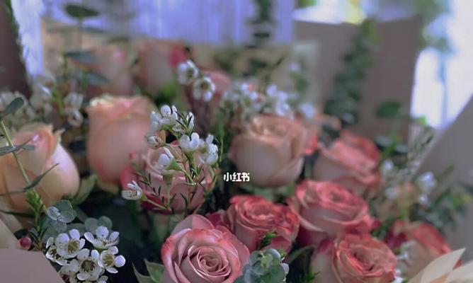 卡布奇诺玫瑰代表什么意思？花语和寓意有哪些？