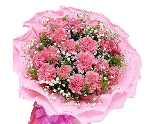 康乃馨的花语含义是什么？不同颜色代表什么意义？
