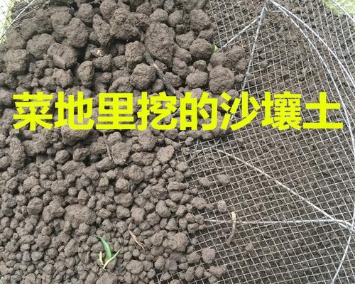 纯沙子适合种植哪些蔬菜？如何改善沙质土壤？