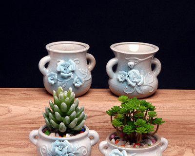 瓷花盆适合养什么花？有哪些花卉品种推荐？