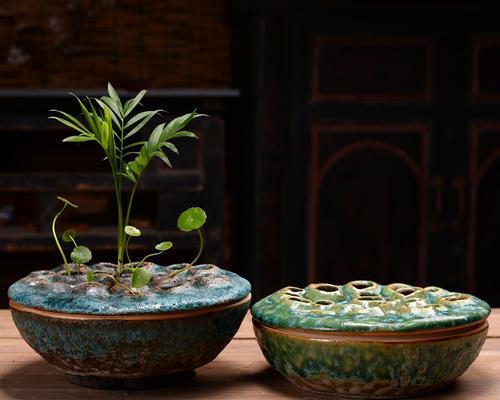 瓷花盆适合养什么花？有哪些花卉品种推荐？