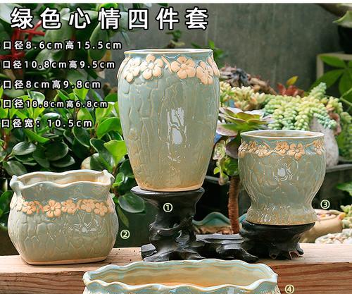 瓷盆适合养什么花？如何选择适合的花卉种类？