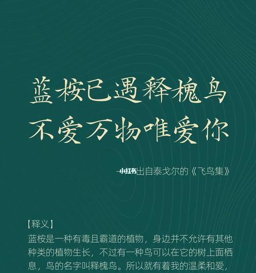 蓝桉花语含义是什么？送人合适吗？