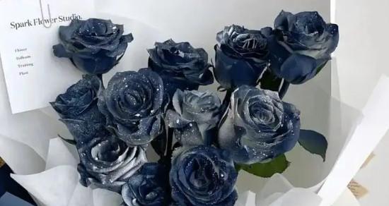 蓝玫瑰代表什么意思？蓝玫瑰花语有哪些含义？