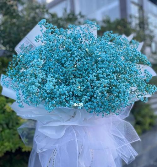 蓝色满天星的花语是什么？它在花艺设计中代表什么含义？