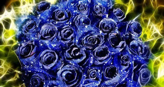 蓝色玫瑰代表什么意思？蓝色玫瑰的花语和象征意义是什么？