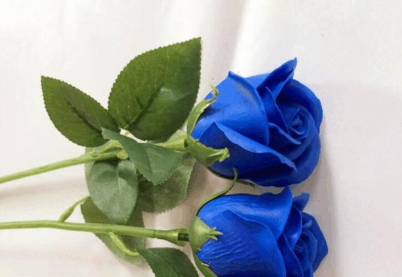 蓝色玫瑰花代表什么意思？蓝色玫瑰花的寓意和象征是什么？