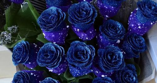 蓝色玫瑰花代表什么意思？蓝色玫瑰花的花语有哪些含义？