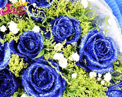 蓝色妖姬代表什么？花语和象征意义是什么？