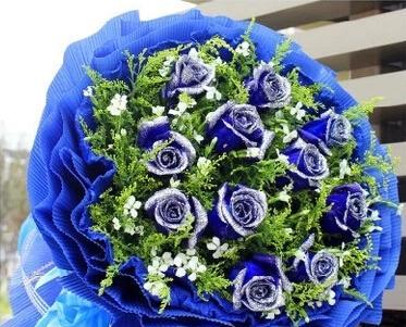 蓝色妖姬代表什么含义？花语和象征意义是什么？
