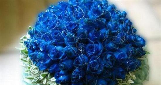 蓝色妖姬花的寓意是什么？如何正确解读其花语？