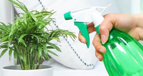 醋水浇花的正确方法是什么？能用醋水浇花吗？