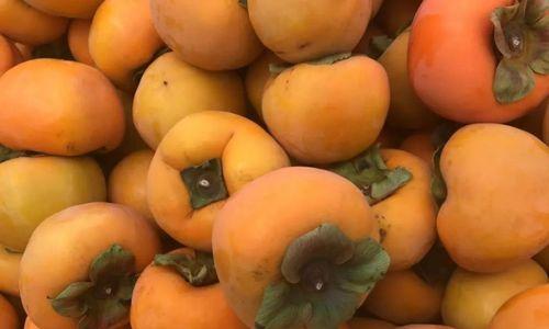 脆柿的保鲜期是多久？如何正确保存脆柿？