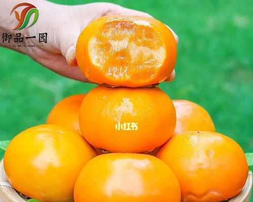 脆柿子哪里产的最好吃？中国哪些地区的脆柿子最美味？