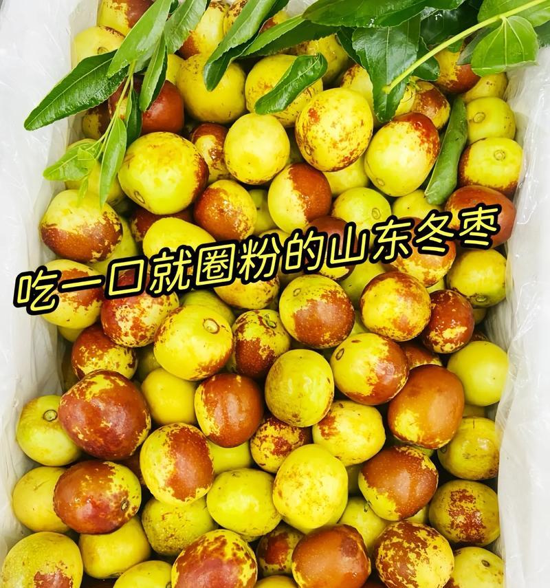 脆枣哪里产的最好吃？中国哪些地区的脆枣最值得品尝？