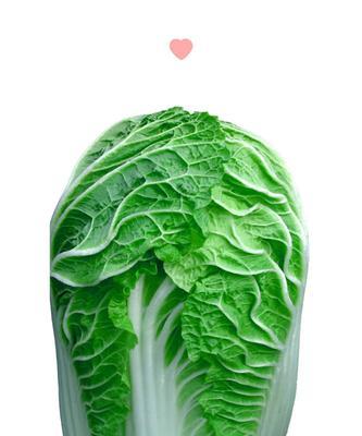 哪些大白菜品种口感最佳？如何根据排名选择？