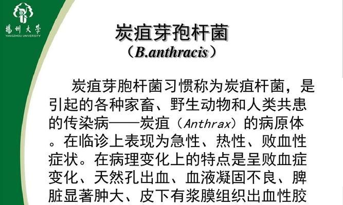 大白菜炭疽病是怎么引起的？有效治疗方法有哪些？