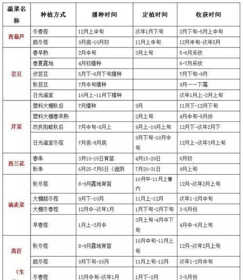 大滨菊播种的最佳时间是什么时候？如何确保高成活率？
