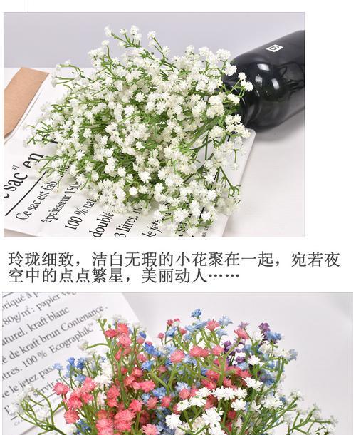 满天星的含义是什么？如何正确解读满天星的花语？
