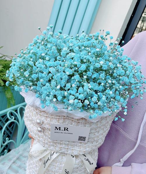满天星花花语是什么？满天星花传说有哪些？