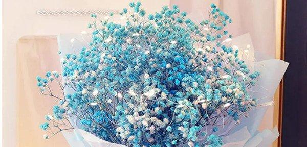 满天星花花语是什么？满天星花传说有哪些？
