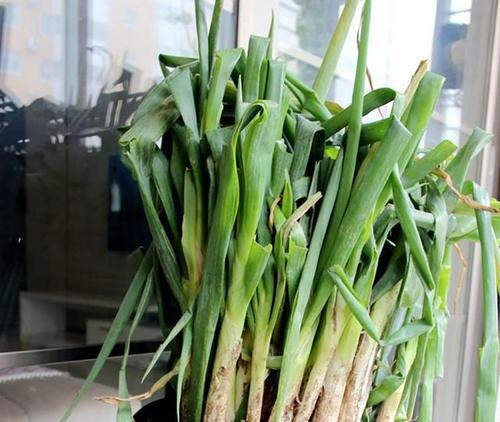 大葱的性质是热性还是凉性？如何根据体质选择食用？