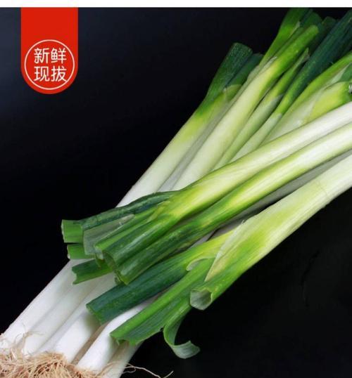大葱生吃和熟吃哪个更健康？营养差异大揭秘？