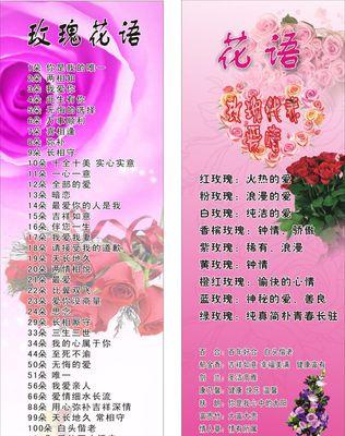9支玫瑰加1朵百合的寓意是什么？含义何在？