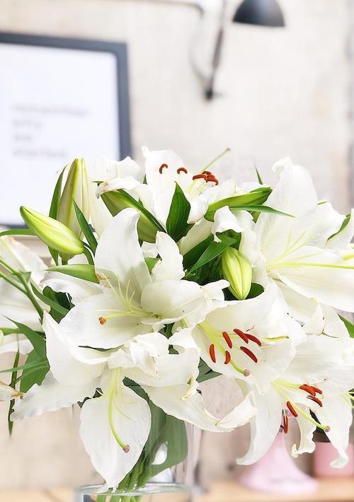 九朵玫瑰搭配两枝百合的花语是什么？图片大全能否提供详细解释？