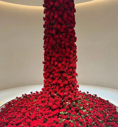 858朵玫瑰花的象征意义是什么？