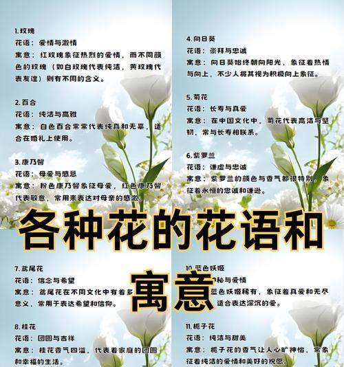 19朵玫瑰加两朵百合的含义是什么？英语怎么读？