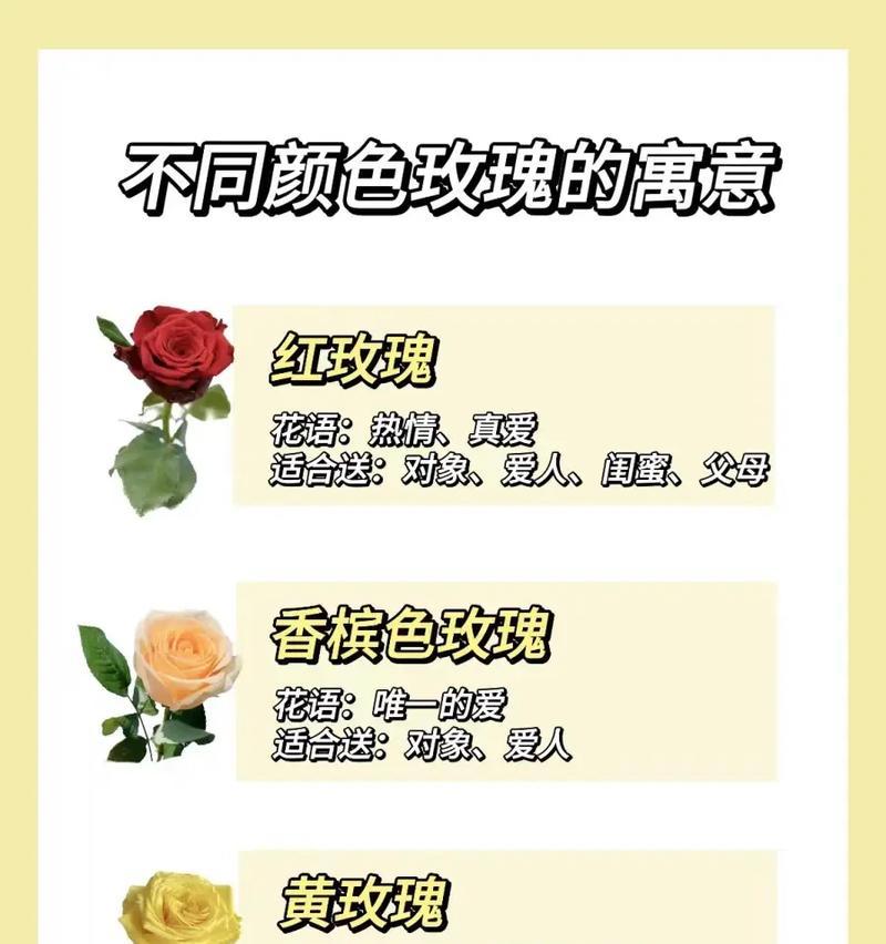 19朵玫瑰加两朵百合的含义是什么？英语怎么读？