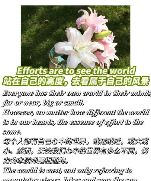 两杯茶一朵玫瑰在英语中代表什么？其含义是什么？