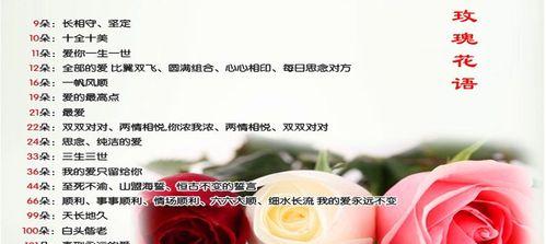 22只玫瑰的含义是什么？