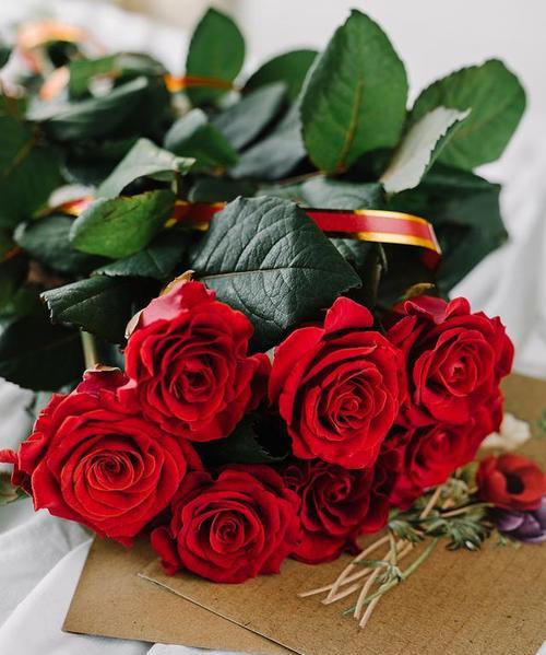 20朵粉玫瑰代表什么？送花时如何表达情感？
