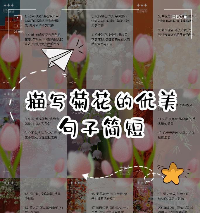 优美菊花句子开头结尾有哪些？